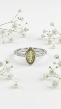 Amber Ray Ring | 925 Sterling Silver